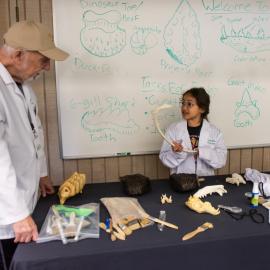 Paleo Kids Lab