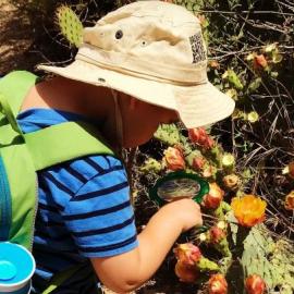 Wild Tales at Upper Newport Bay Nature Preserve