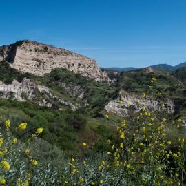 Invasive Plant Removal at Agua Chinon