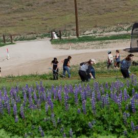 Native Seed Farm