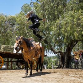 Rancho Days Fiesta roping demonstration