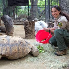 Zookeeper at OC Zoo