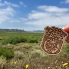 Junior ranger badge