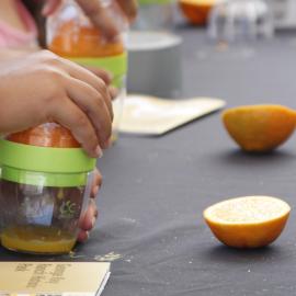 Citrus juicing activity at Summer Citrus Harvest at Key Ranch