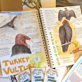 nature journaling art