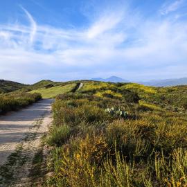 Riley Wilderness Park