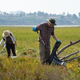 Volunteers at Coastal Cleanup Day, 2023