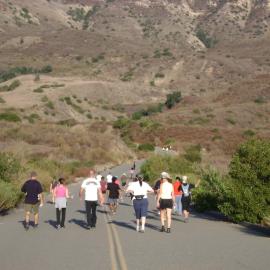 After work fitness hike