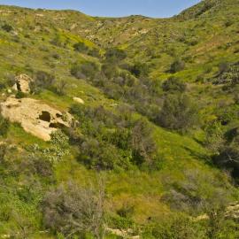 Weir Canyon Post Fire