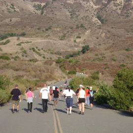 Fitness Hike on Hicks Haul Road