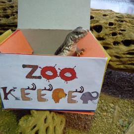 zoo lizard