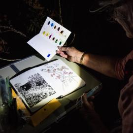 Nature Journaling Night