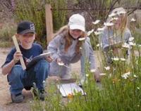 Children participating in a lesson about butterflies.