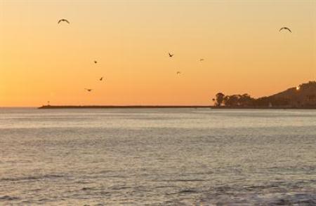 Capistrano Beach at sunset with flying birds