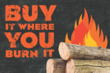 Buy it where you burn it ad with campfire image