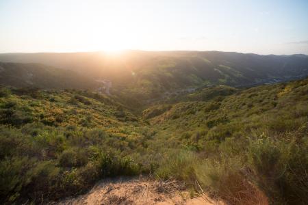 Sunset over a sage scrub landscape