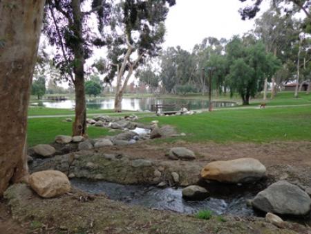 Small lake surrounded by grass, rocks and trees