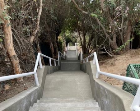 Looking down a long, concrete stairway under a canopy of trees