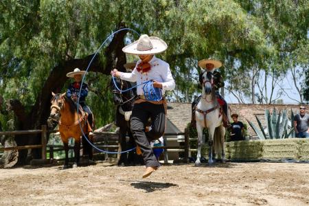 A trick roper in rancho period garb jumps through a rope in front of two horsemen. 