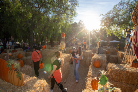 Fall-O-Ween_2025
