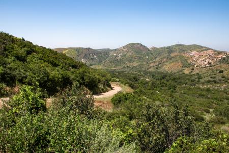 Whiting Ranch Wilderness Park
